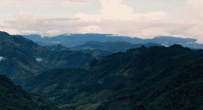 Recuperando la cuenca: Sistemas agroforestales y economía campesina