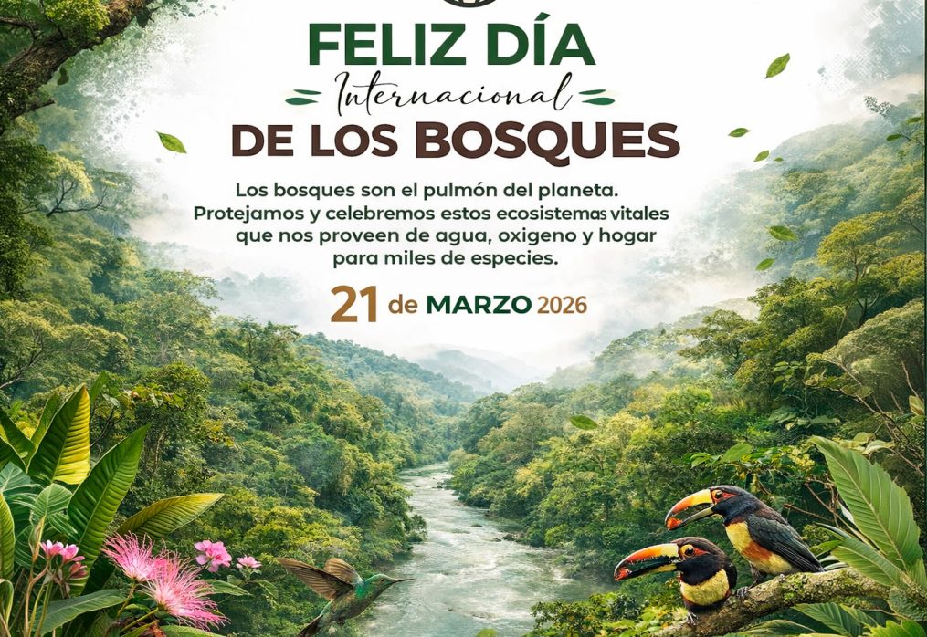 Levantamos la voz por nuestros bosques